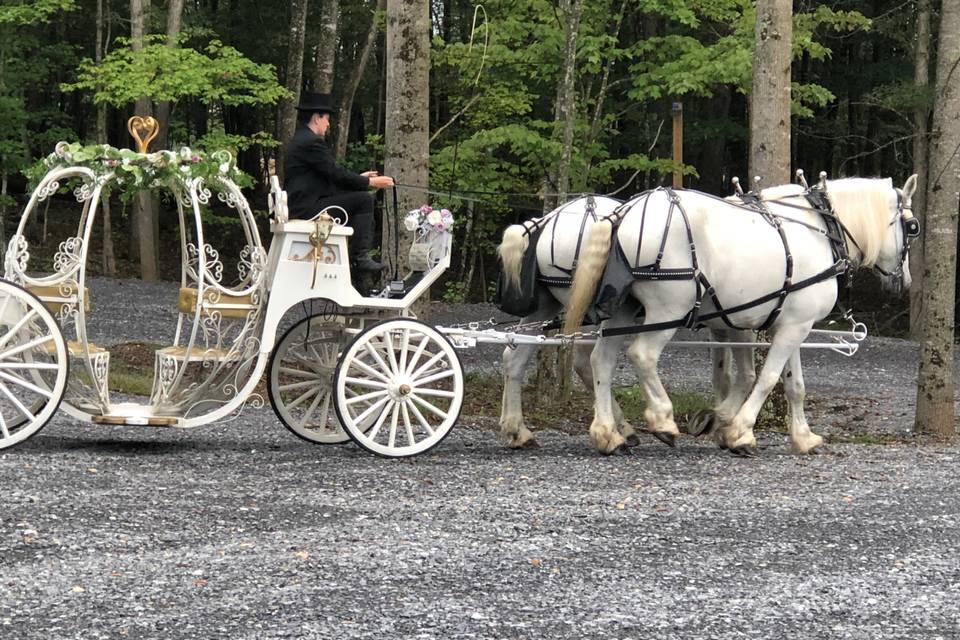 Brenwood Lake Weddings