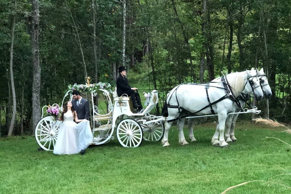 Carriage ride