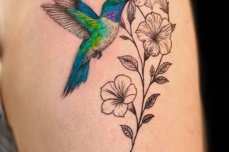 Hummingbird tattoo