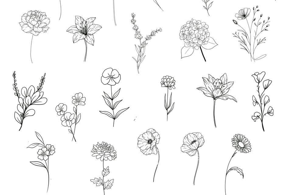 Flash Designs Example
