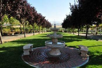 Weddings at Rios Reserve Winery