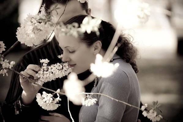 Your Wedding Photography