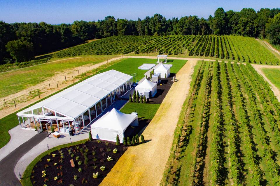Estate Tent - Vineyards