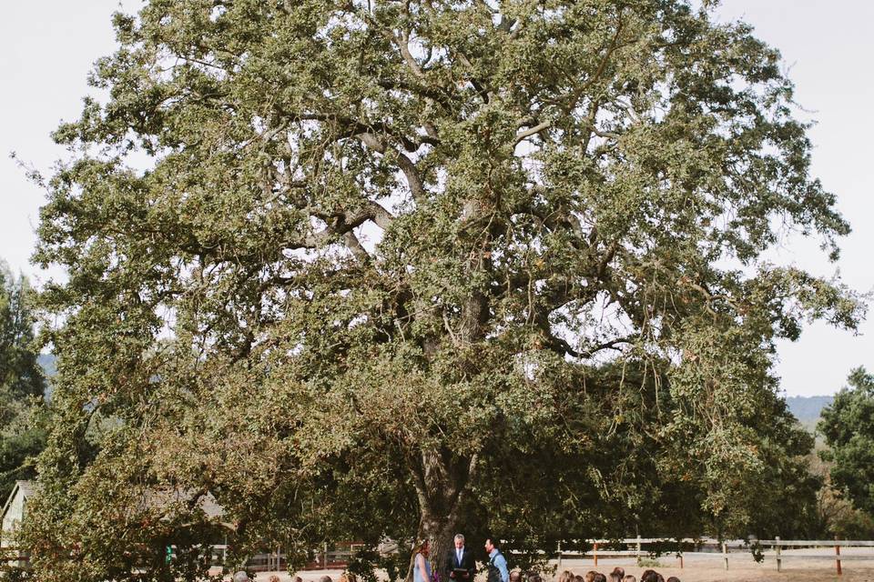 Wedding ceremony