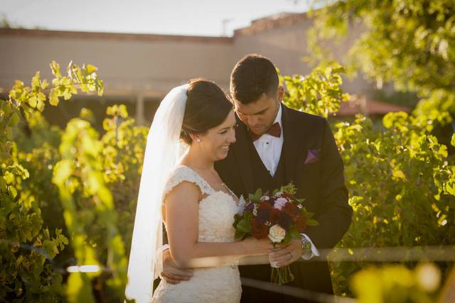 Vineyard newlyweds