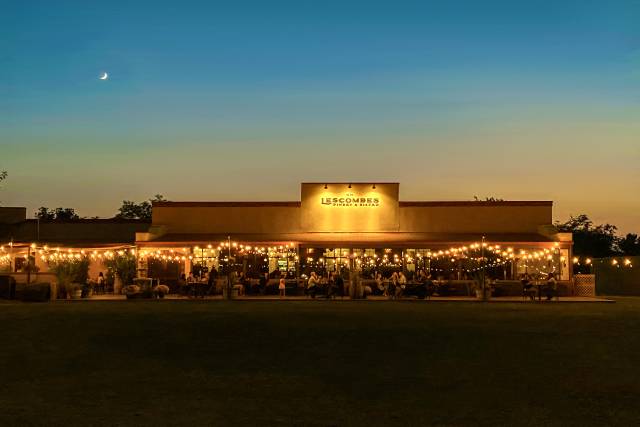Early Evening in the lawn