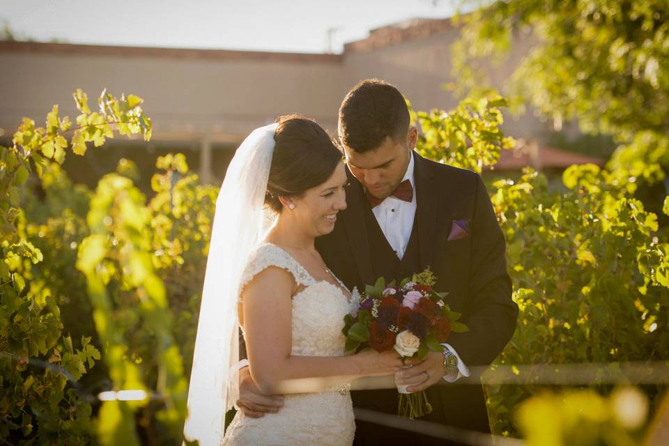 Vineyard newlyweds