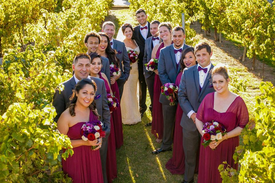 In our vineyard