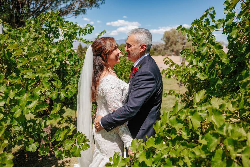 Newlyweds in the vineyard