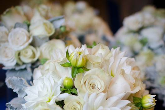 White roses