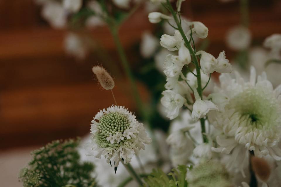 Honey Bee Events 2025