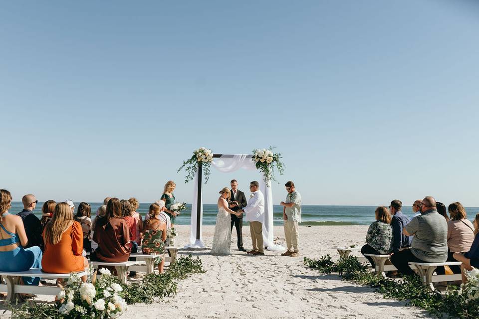 Honey Bee Events