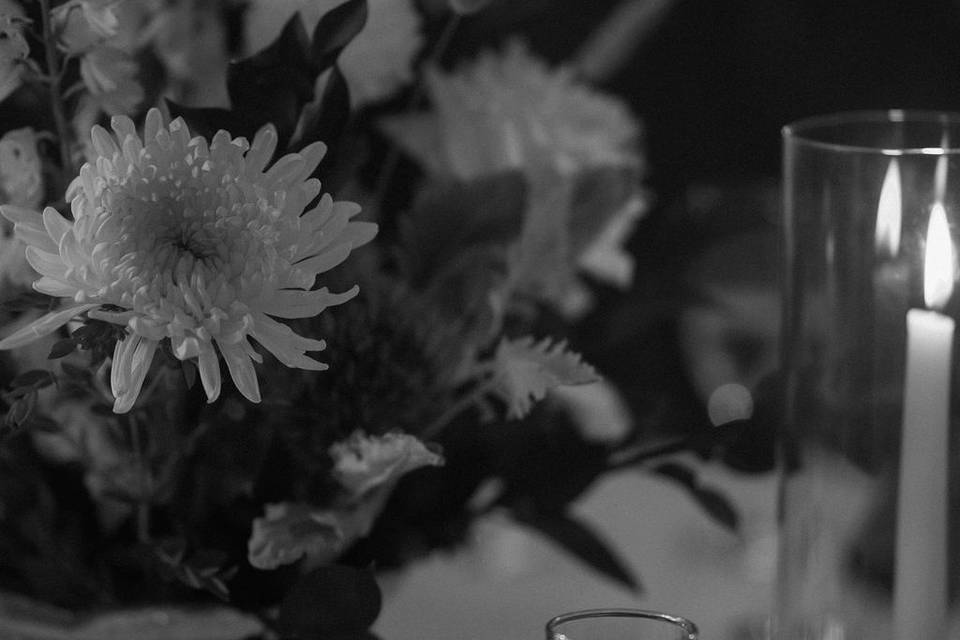 Honey Bee Events 2025