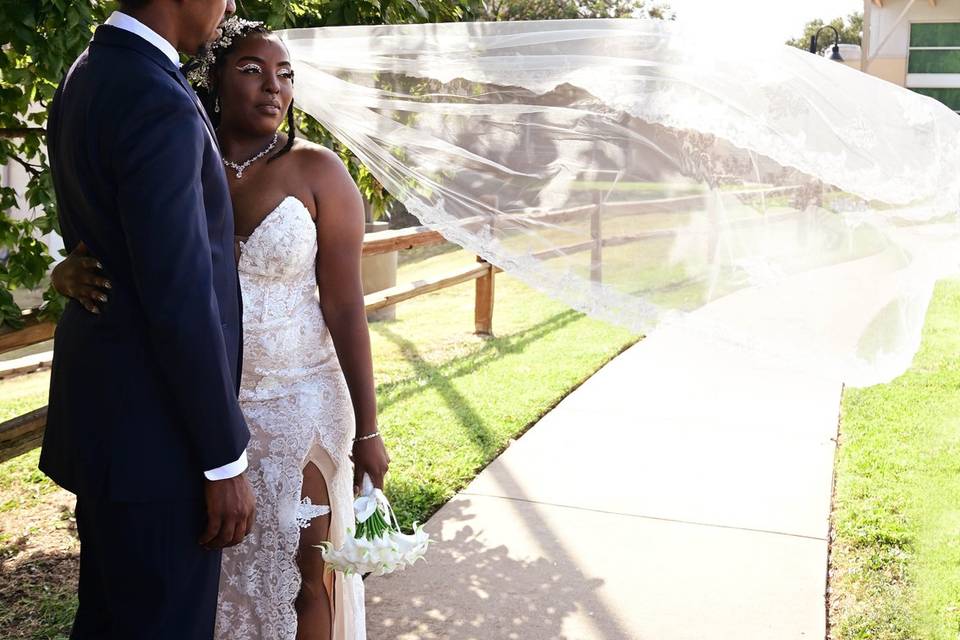 Veil Action