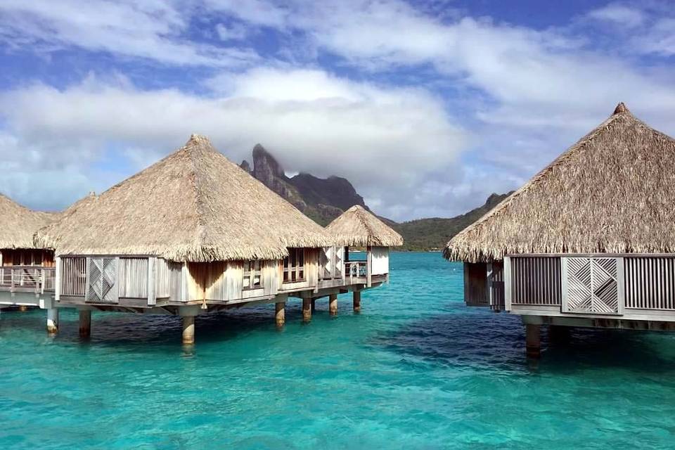 Kristin and Daniel's Tahiti honeymoon.  The overwater bungalow's at the St. Regis Bora Bora are the stuff of dreams.
Image:  Kristin F. Nestor