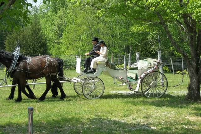 Rebec Vineyards carriage