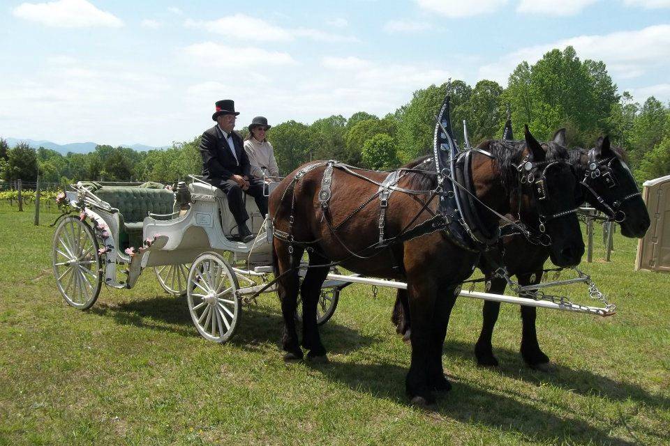 Rebec Vineyards carriage