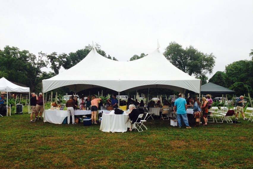 Tent wedding