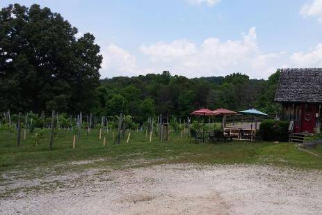 Rebec Vineyards outside view