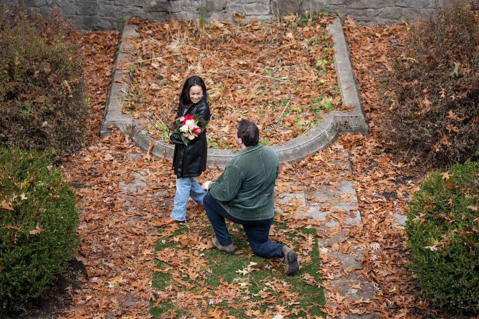 Jess and Noah's engagement