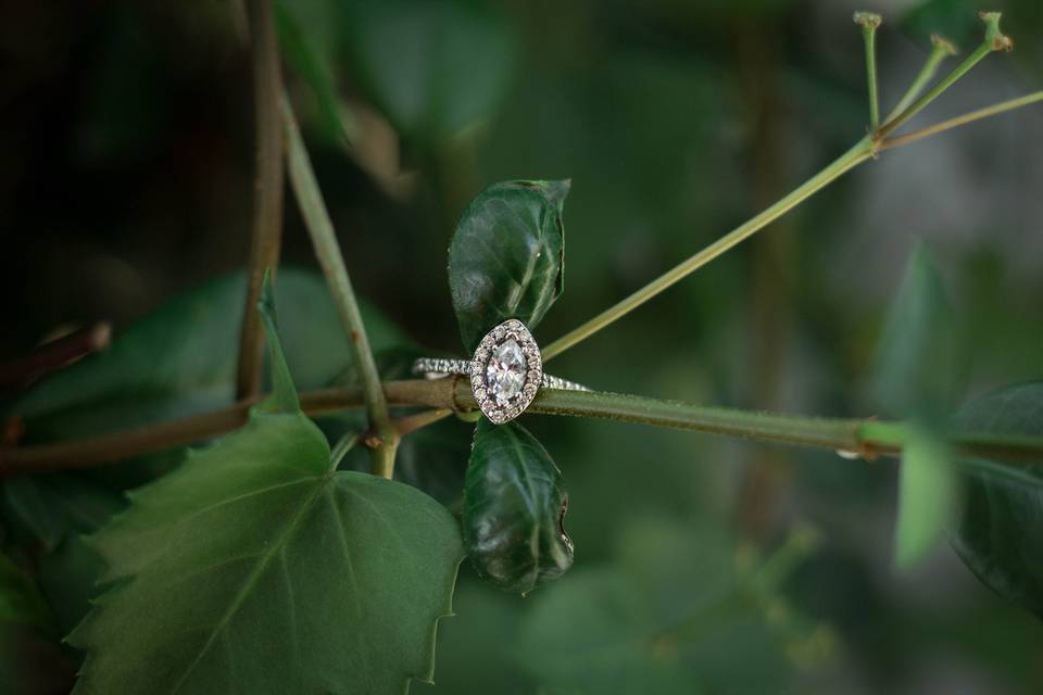 J Doize Photography
