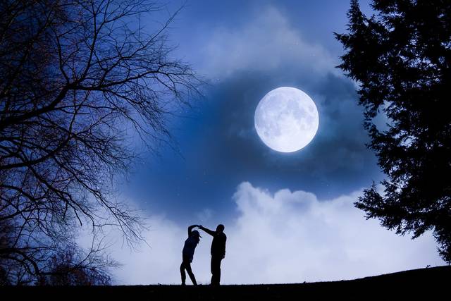 Moonlit silhouette © Lisa West Photography