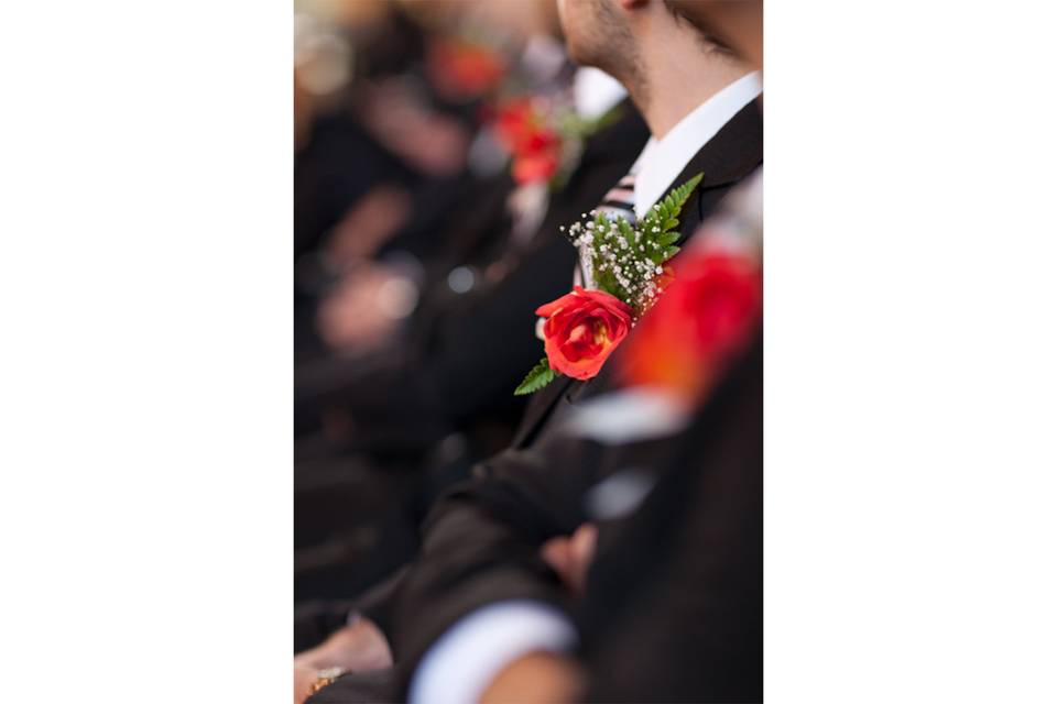Groom detail