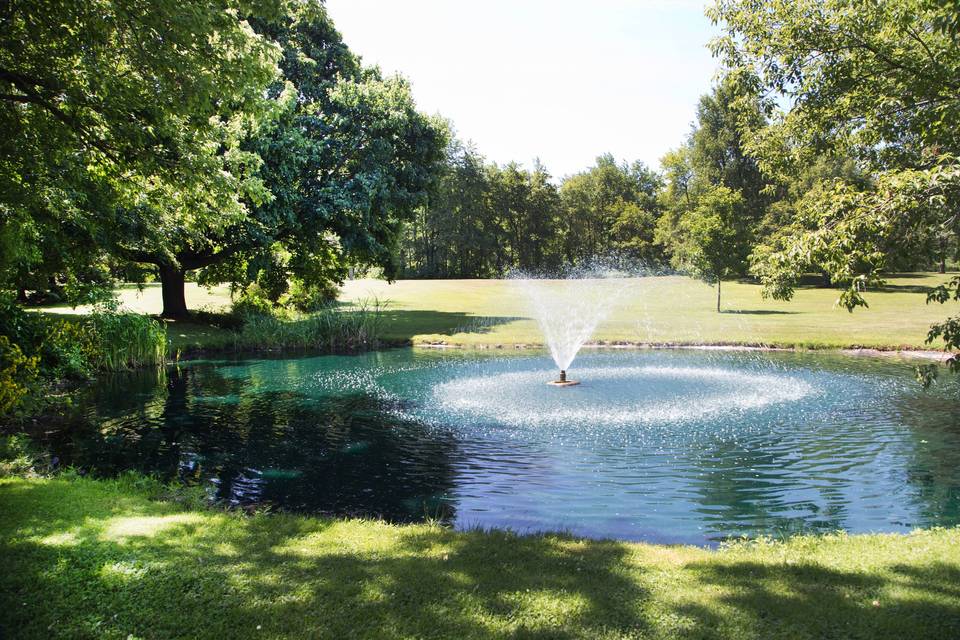 Pond and fountain