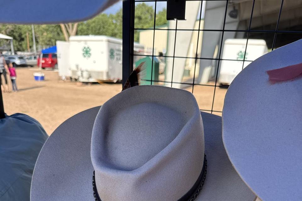 Silverbelly custo crown