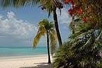 Stewart Travel