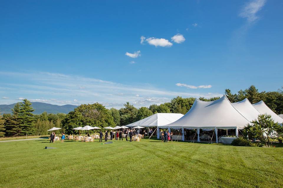 Performance done inside the Wedding Meadow Tent