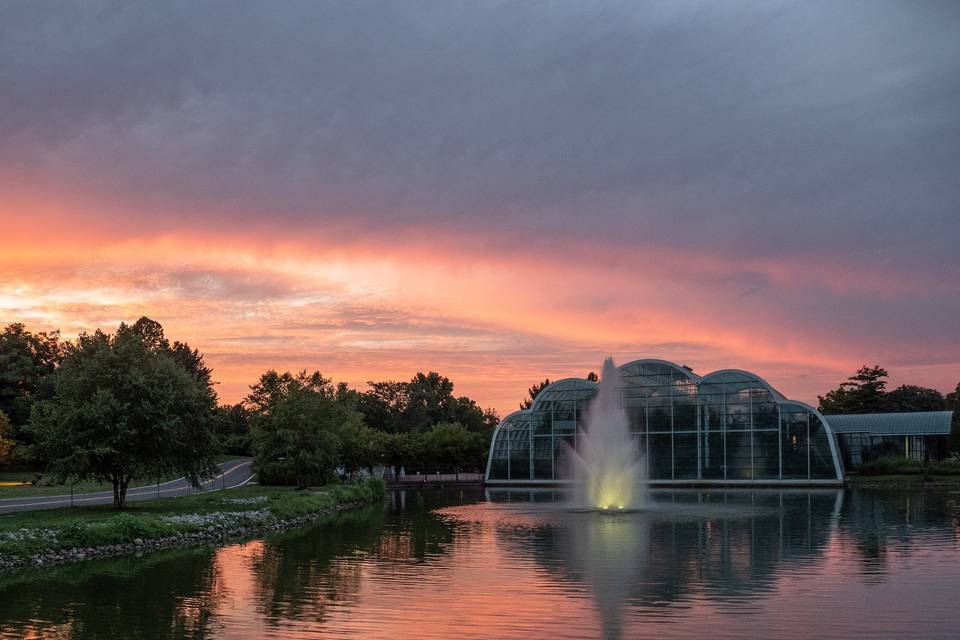 The Butterfly House