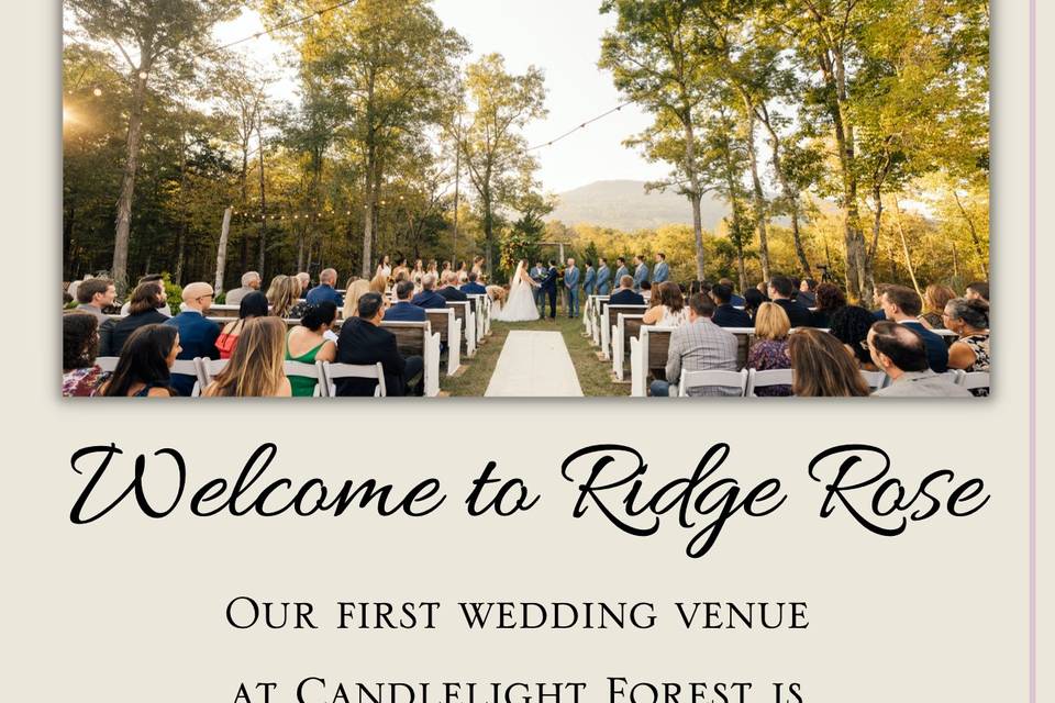 Welcome to Ridge Rose