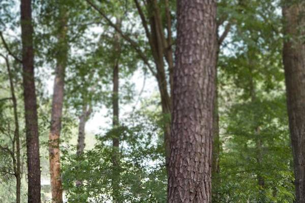 Heather McWilliams Weddings & Portraits