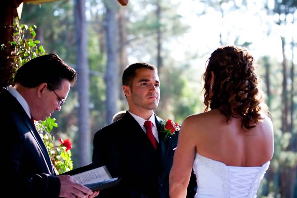 Heather McWilliams Weddings & Portraits
