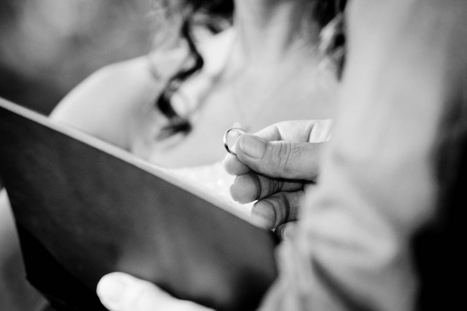 Heather McWilliams Weddings & Portraits