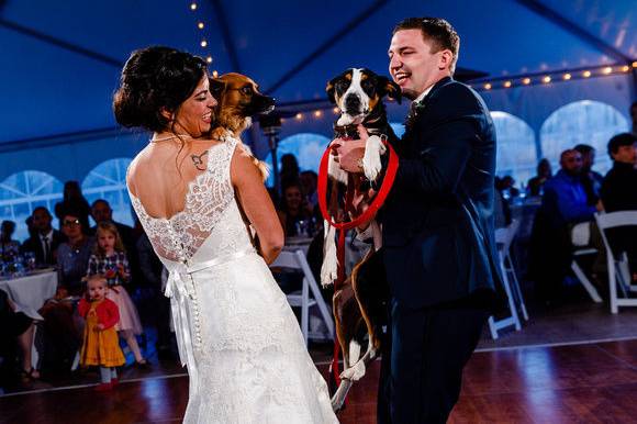 Newlyweds and their dogs