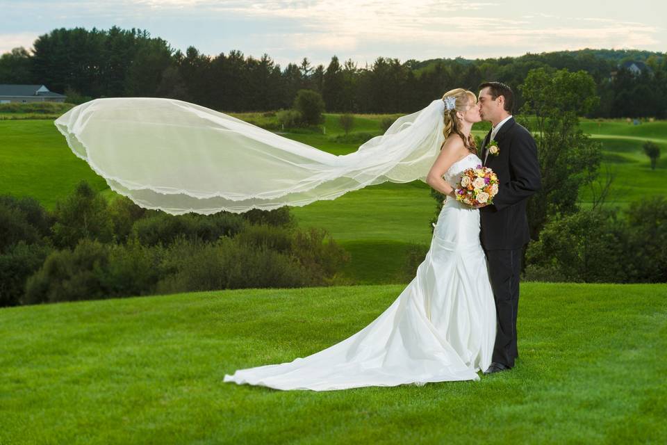 Windswept veil - Allan E. Levine Photography