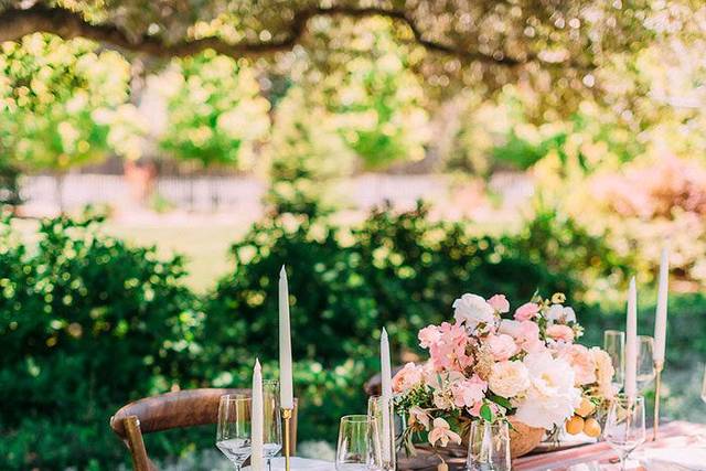Elegant setting