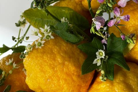 Citrus Arrangement