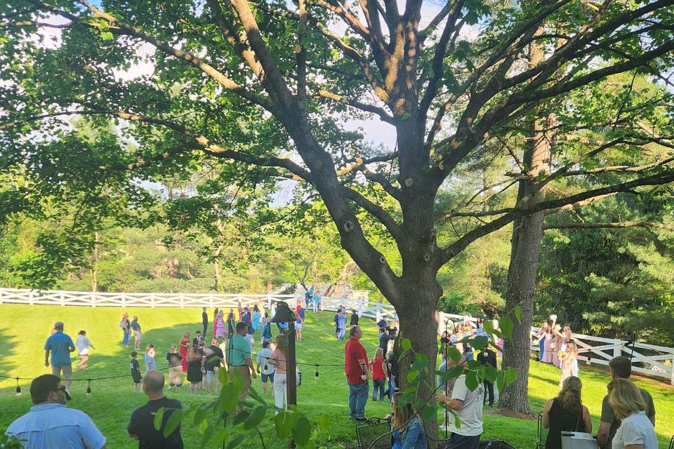 20250502_174822.jpg