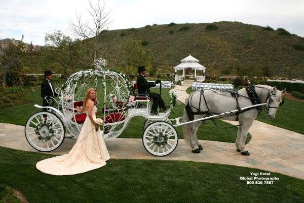 Enchanted Carriages