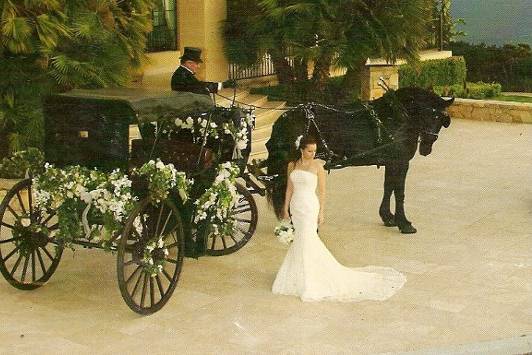 Enchanted Carriages