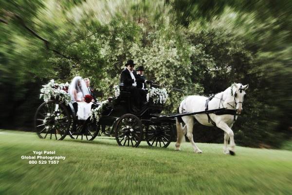 Enchanted Carriages