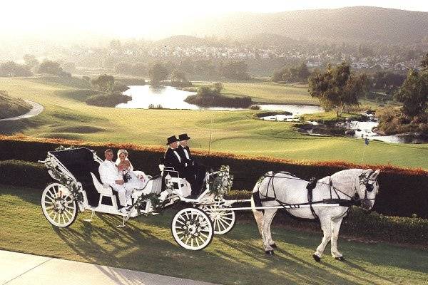 COACH®: Horse And Carriage Valet