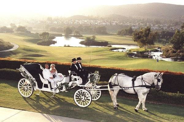 Enchanted Carriages