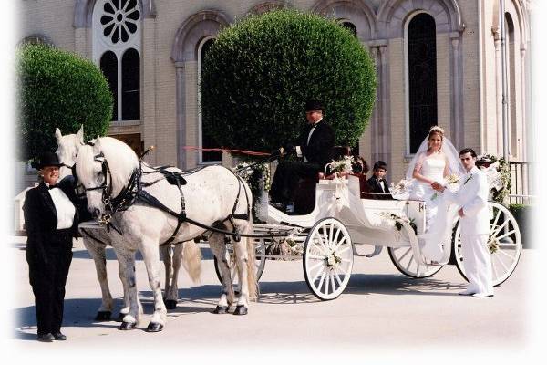 Enchanted Carriages