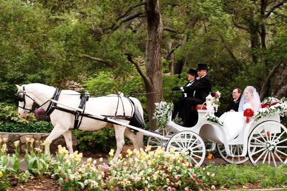 Enchanted Carriages