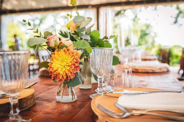 QDC Wedding