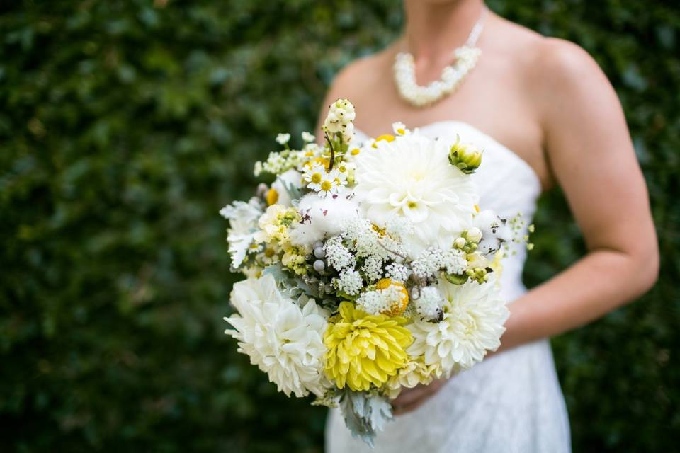 Yellow and white flowers